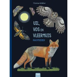 Afbeelding van Uil, vos en vleermuis