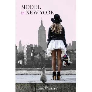 Afbeelding van Model in New York