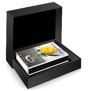 Afbeelding van Remco Campert - Unieke handgemaakte uitgave verpakt in een luxe geschenkdoos van MatchBoox - Kunstboeken