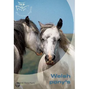 Afbeelding van Welsh pony's