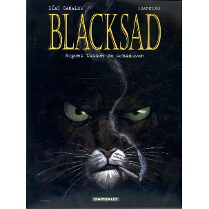 Afbeelding van Blacksad 1 - Een verrukkelijke zwarte detective