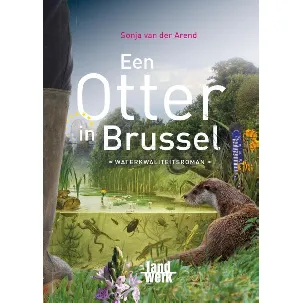 Afbeelding van Een otter in Brussel