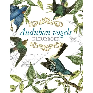 Afbeelding van Audubon vogels kleurboek