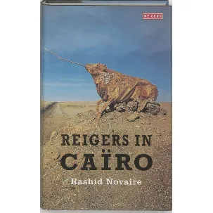 Afbeelding van Reigers in cairo