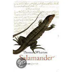 Afbeelding van Salamander