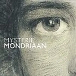 Afbeelding van Mysterie Mondriaan