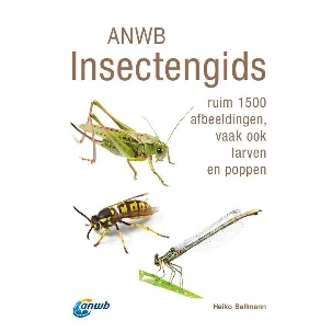 Afbeelding van ANWB natuurgidsen - ANWB Insectengids