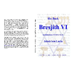 Afbeelding van Het boek Bresjith VI