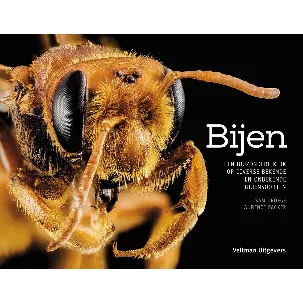 Afbeelding van Bijen