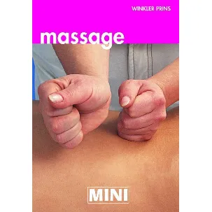 Afbeelding van Mini Wp Massage