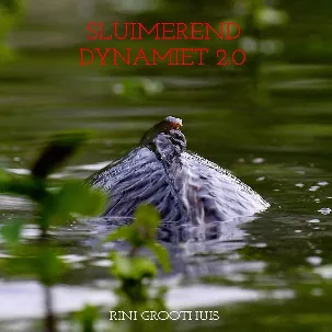 Afbeelding van Sluimerend Dynamiet 2.0 - Het testament ( Karper )