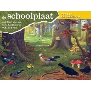 Afbeelding van De Schoolplaat Vogels en Insecten