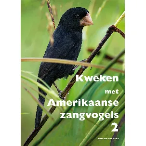 Afbeelding van NIEUW! Kweken met Amerikaanse zangvogels 2. Vogelboek met veel informatie over kweken met zangvogels in kooien.