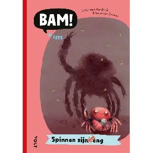 Afbeelding van BAM! Ik lees - Spinnen zijn niet eng
