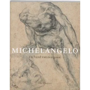 Afbeelding van Michelangelo