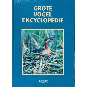 Afbeelding van Grote vogel encyclopedie