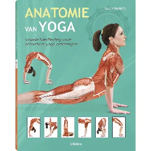 Afbeelding van Anatomie van yoga
