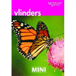 Afbeelding van Mini Wp Vlinders