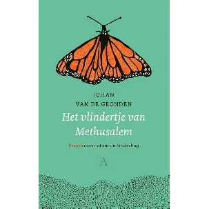 Afbeelding van Het vlindertje van Methusalem