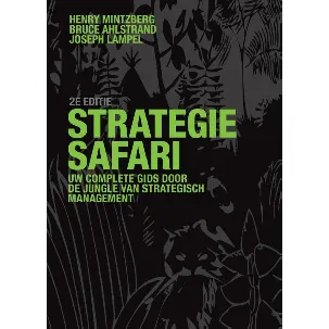 Afbeelding van Strategie-safari