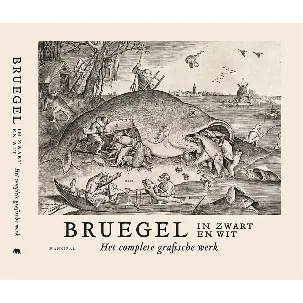 Afbeelding van Bruegel in zwart en wit