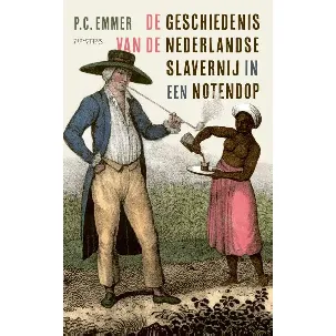 Afbeelding van De geschiedenis van de Nederlandse slavernij in een notendop