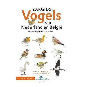 Afbeelding van Zakgids Vogels van Nederland en België