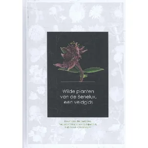Afbeelding van Wilde planten van de Benelux, een veldgids