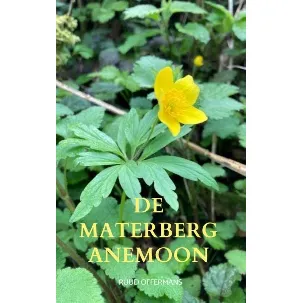Afbeelding van De Materberg anemoon