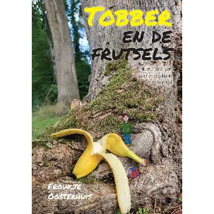 Afbeelding van Tobber en de frutsels