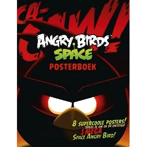 Afbeelding van Angry Birds Space - Posterboek