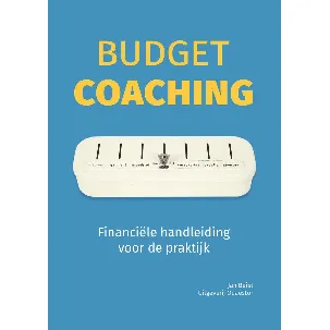 Afbeelding van Budgetcoaching Financiele handleiding voor de praktijk