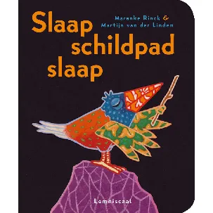 Afbeelding van Slaap Schildpad Slaap, Kartonboek