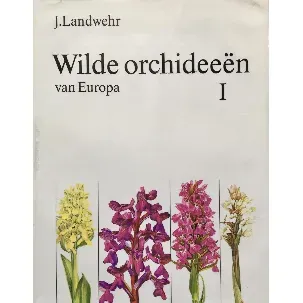 Afbeelding van Wilde orchideeÃ«n van Europa I