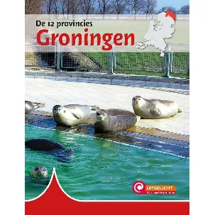 Afbeelding van De 12 provincies - Groningen