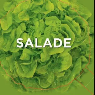 Afbeelding van Salade