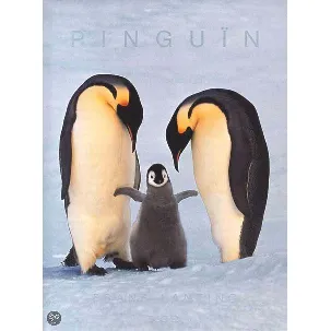 Afbeelding van Pinguin (T25)