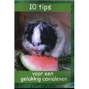 Afbeelding van 10 tips voor een gelukkig cavialeven