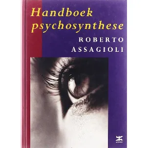 Afbeelding van Handboek Psychosynthese