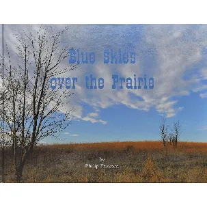 Afbeelding van Blue Skies over the Prairie