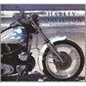 Afbeelding van 95 jaar Harley-Davidson: een eerbetoon aan Amerika's meest legendarische motorfietsen