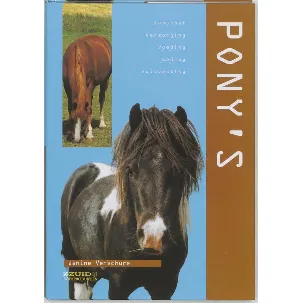 Afbeelding van Pony's