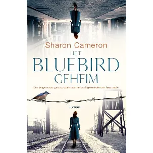 Afbeelding van Het Bluebird geheim