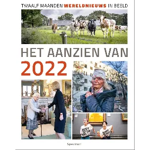 Afbeelding van Het aanzien van - Het aanzien van 2022