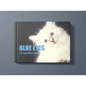 Afbeelding van Ragdoll - Blue eyes my beautiful ragdoll - boeken - huidieren - raskatten - ragdoll katten