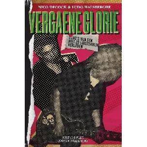 Afbeelding van Vergaene Glorie - Paperback - Punk - Ramones - 2e herziene druk