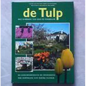 Afbeelding van De tulp - Het symbool van zon en voorjaar