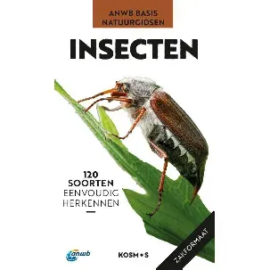 Afbeelding van ANWB Basis Natuurgids - Insecten