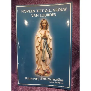 Afbeelding van Noveenboekje van Heilige Maria van Lourdes (10 x 15 cm / 16 blz.)