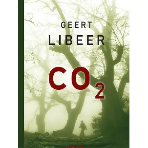 Afbeelding van CO2